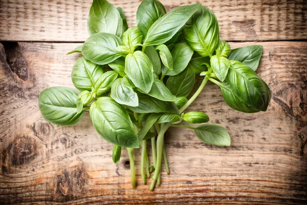 Bunch Fresh Basil Wooden Background Aromatic Spice — Stock Photo, Image