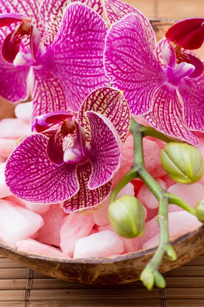 Rose Sea Salt Bowl Orchid Flower — Stock Photo, Image