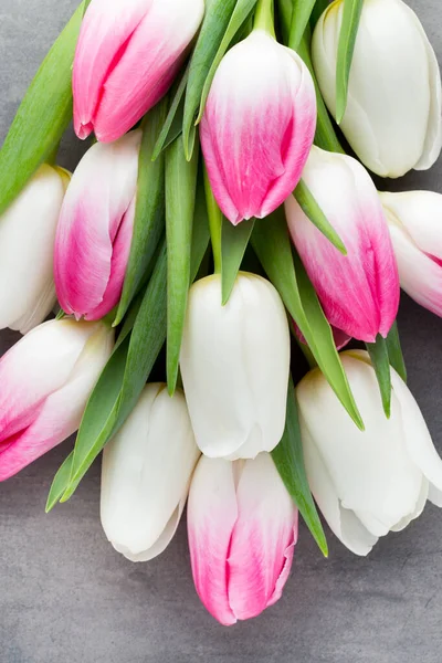 Flowers White Pink Grey Background — Stock Photo, Image