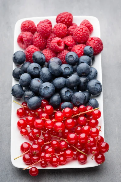 Fresh Blueberries Red Currant — Stock Photo, Image