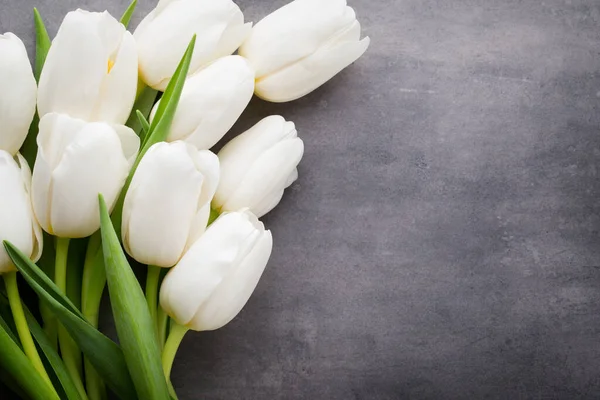 Flowers White Tulips Grey Background — Stock Photo, Image