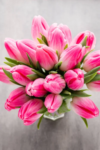 Pink Tulip Grey Background — Stock Photo, Image