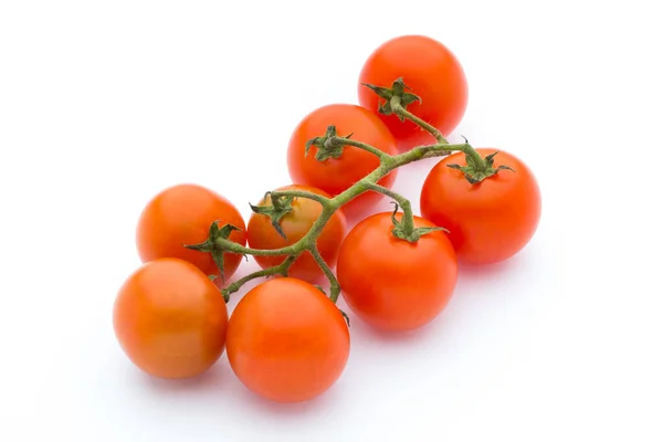 Tomato White Isolatd Background — Stock Photo, Image