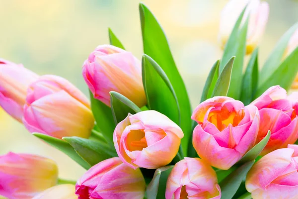 Fleurs Printanières Bouquet Tulipes Sur Fond Bokeh — Photo