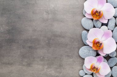 Gri arkaplanda orkide temalı nesneler.