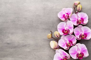 Gri arkaplanda orkide temalı nesneler.