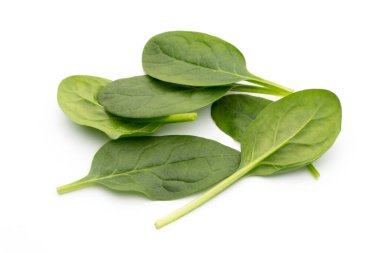 Taze ıspanak beyazda izole edilmiş..