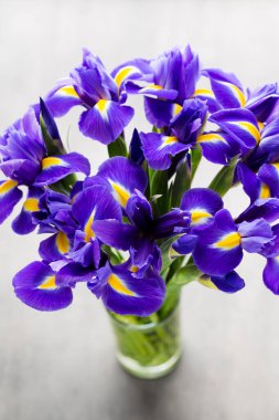 Arka planda mor iris çiçek vazosu var..