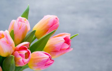 Bahar çiçekleri. Bokeh arka planında lale buketi.