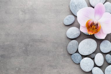 Gri arkaplanda orkide temalı nesneler.