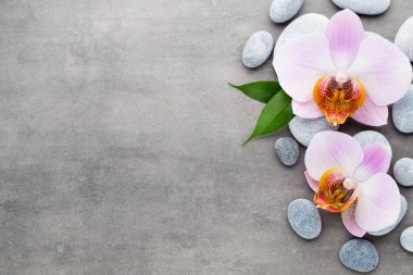 Gri arkaplanda orkide temalı nesneler.