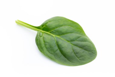 Taze ıspanak beyazda izole edilmiş..