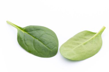 Taze ıspanak beyazda izole edilmiş..