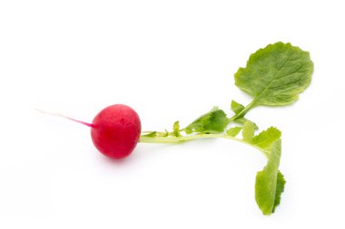 Beyaz arkaplanda taze turp. 