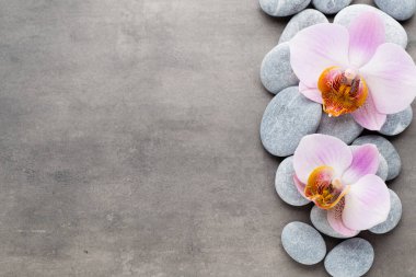 Gri arkaplanda orkide temalı nesneler.