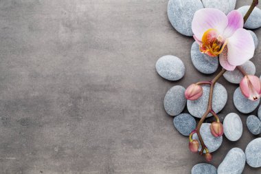 Gri arkaplanda orkide temalı nesneler.