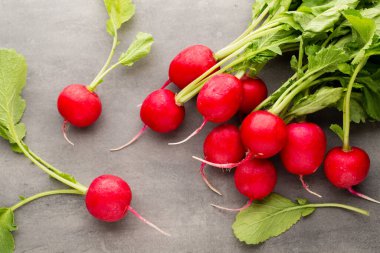 Turp taze, gri arka planda..