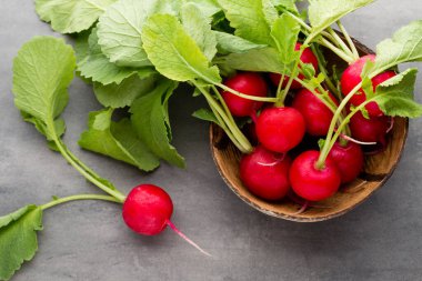 Turp taze, gri arka planda..