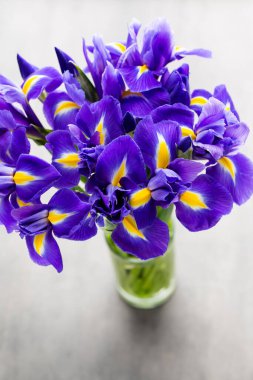 Arka planda mor iris çiçek vazosu var..