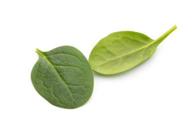 Taze ıspanak beyazda izole edilmiş..