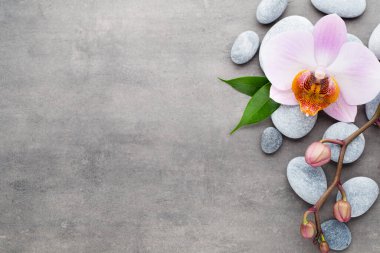 Gri arkaplanda orkide temalı nesneler.