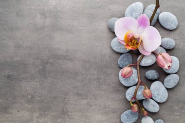 Gri arkaplanda orkide temalı nesneler.