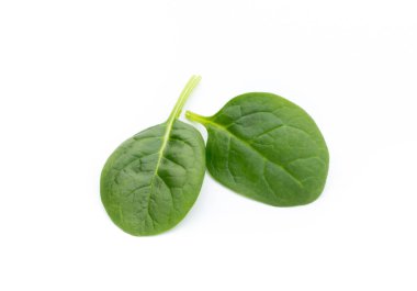 Taze ıspanak beyazda izole edilmiş..