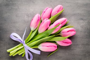 Laleler pembe, gri arka planda..