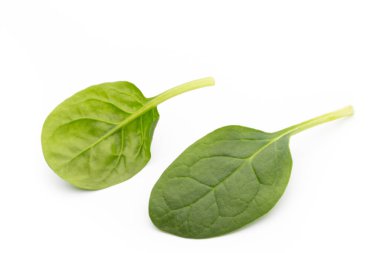 Taze ıspanak beyazda izole edilmiş..