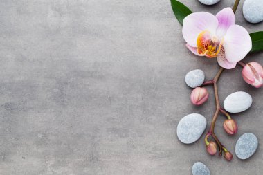 Gri arkaplanda orkide temalı nesneler.