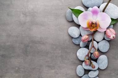 Gri arkaplanda orkide temalı nesneler.