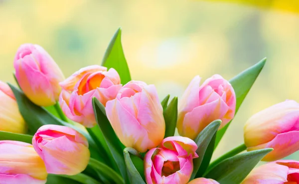 Fleurs Printanières Bouquet Tulipes Sur Fond Bokeh — Photo