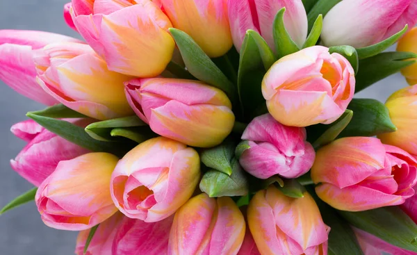 Spring Flowers Tulip Bouquet Bokeh Background — Stock Photo, Image