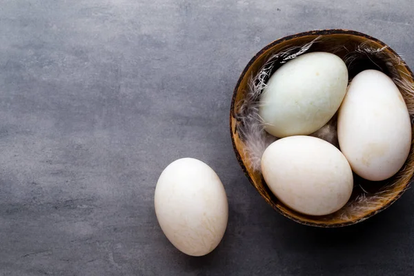 Huevos Pato Sobre Fondo Gris Jaula —  Fotos de Stock