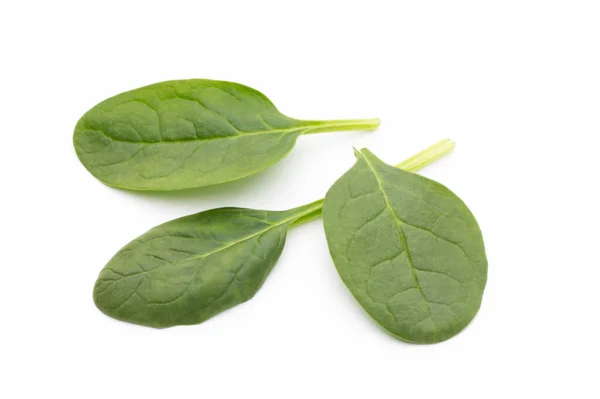 Fresh Spinach Isolated White — Stock Photo, Image