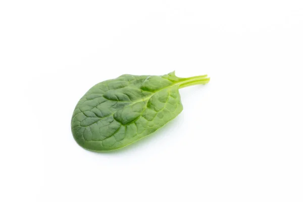 Fresh Spinach Isolated White — Stock Photo, Image