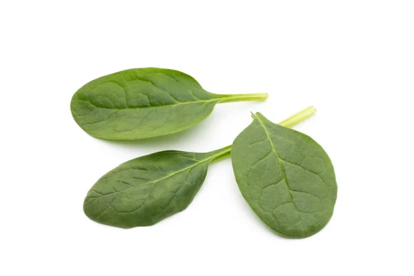 Fresh Spinach Isolated White — Stock Photo, Image