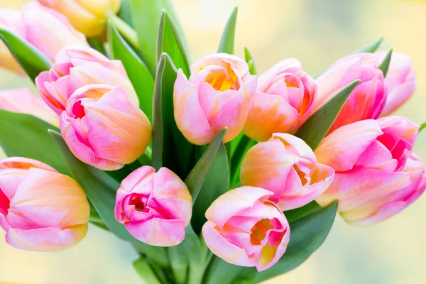 Spring Flowers Tulip Bouquet Bokeh Background — Stock Photo, Image