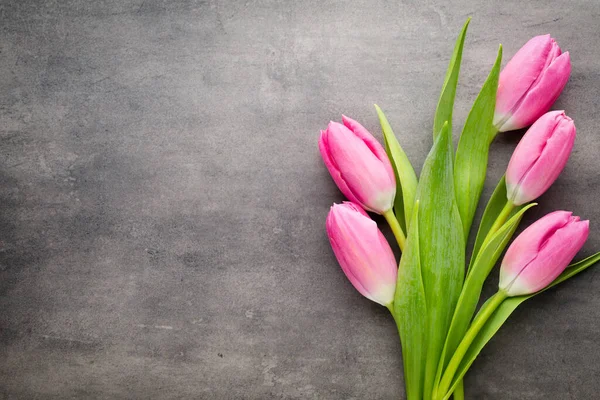 Tulips Pink Gray Background — Stock Photo, Image