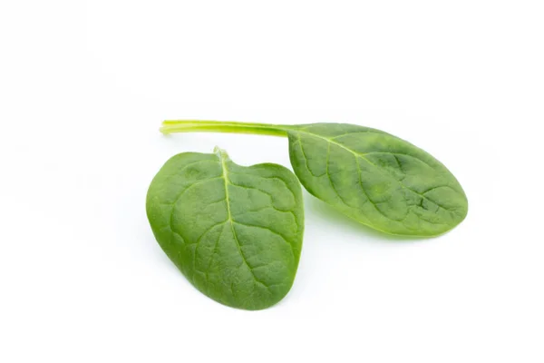 Fresh Spinach Isolated White — Stock Photo, Image