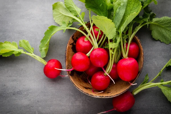 Turp taze, gri arka planda..