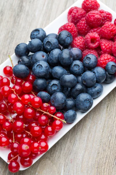 Fresh Blueberries Red Currant — Stock Photo, Image