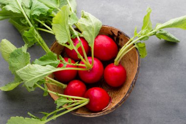 Turp taze, gri arka planda..