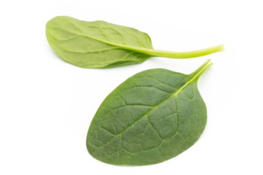 Taze ıspanak beyazda izole edilmiş..