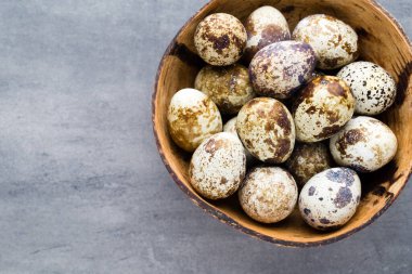 Yuvadaki bıldırcın yumurtaları, baharın sembolü..