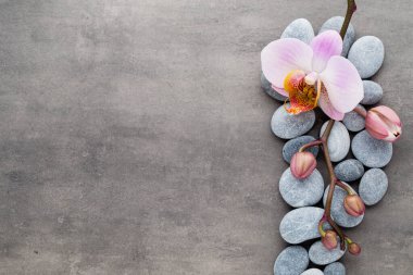 Gri arkaplanda orkide temalı nesneler.