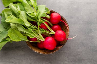 Turp taze, gri arka planda..