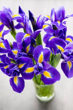 Arka planda mor iris çiçek vazosu var..
