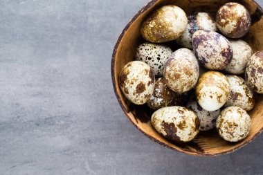 Yuvadaki bıldırcın yumurtaları, baharın sembolü..