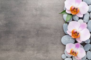 Gri arkaplanda orkide temalı nesneler.